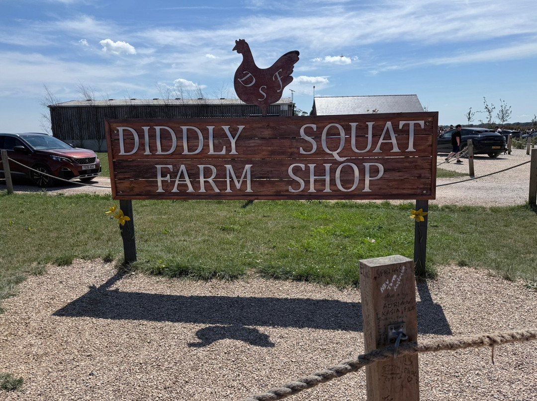 Diddly Squat Farm Shop-奇平诺顿必去景点