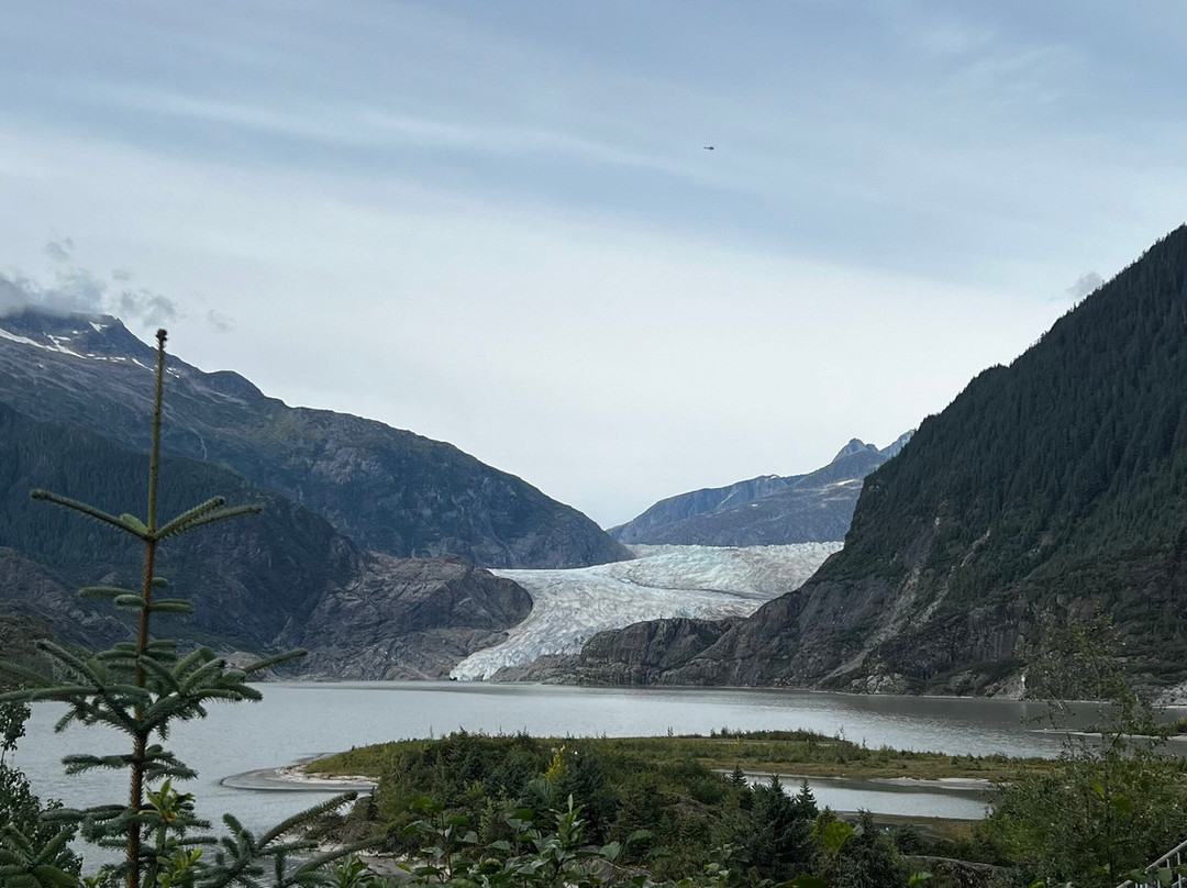 Mendenhall Glacier-朱诺必去景点