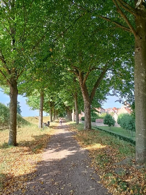 Heusden Fortress-Heusden必去景点