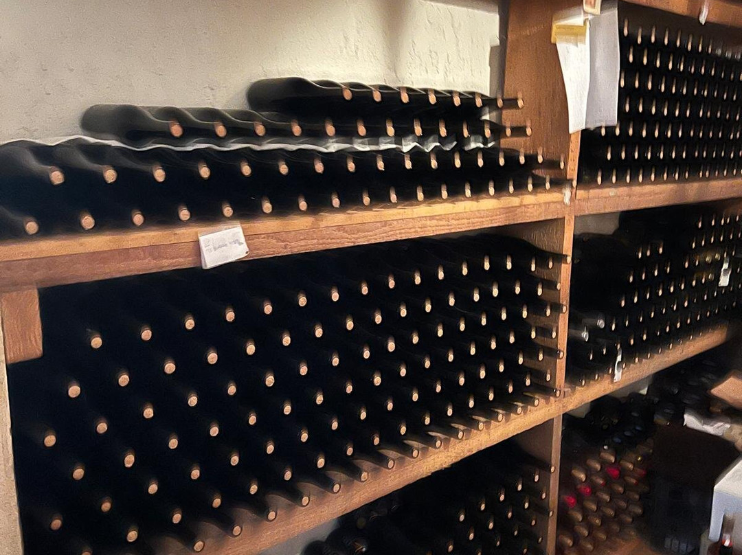 Tzikas' Family Winery-Kassandreia必去景点