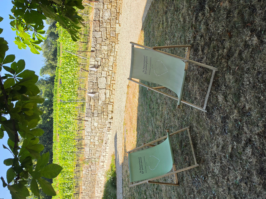 圣彼得辛瑟尔酒店主图
