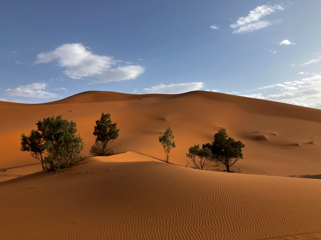 Caravane Cimes et Dunes-扎古拉必去景点