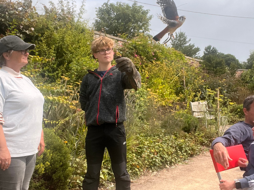 Andy Howeys Birds of Prey Centre-特威德河畔贝里克必去景点