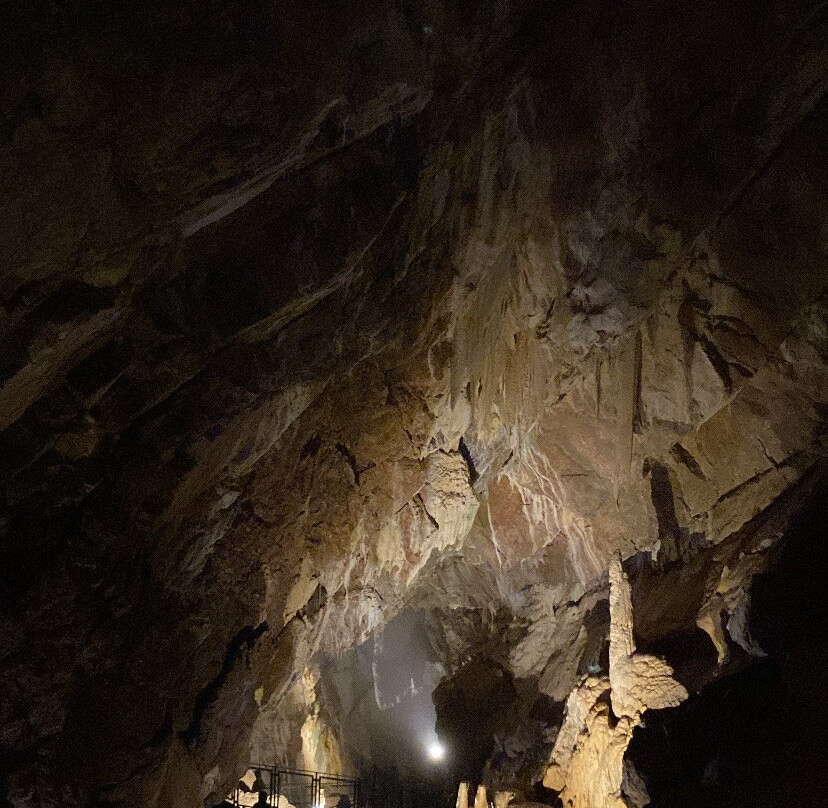 Grottes de Vallorbe-Vallorbe必去景点