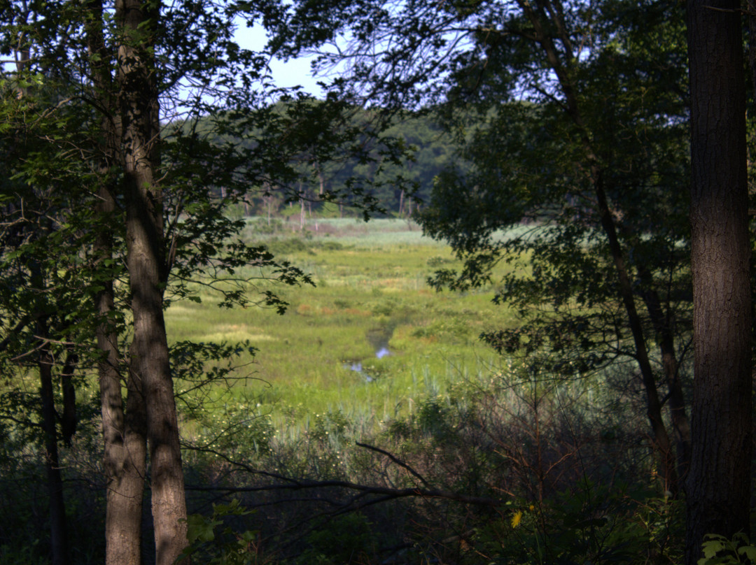 Cowles Bog-Chesterton必去景点