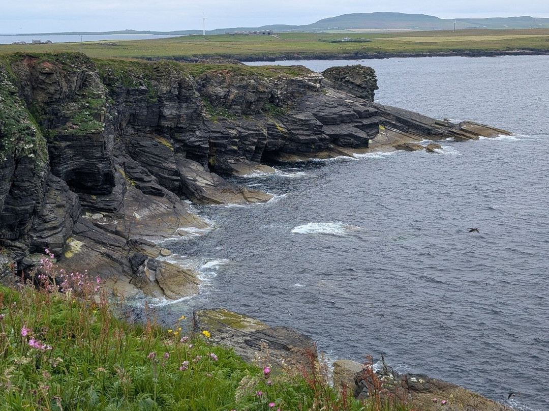 Wild Orkney Walks-Stromness必去景点