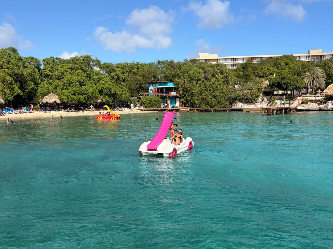 BlueFinn Charters-威廉斯塔德必去景点
