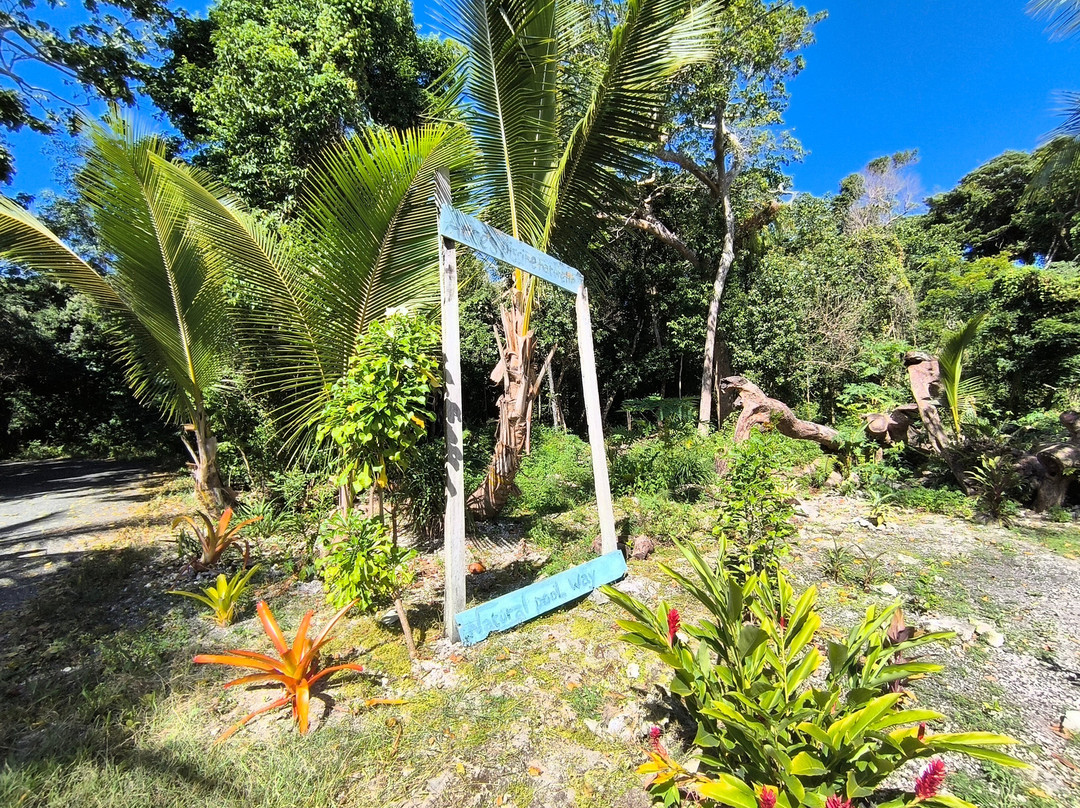 Piscine Naturelle-Ile Des Pins必去景点