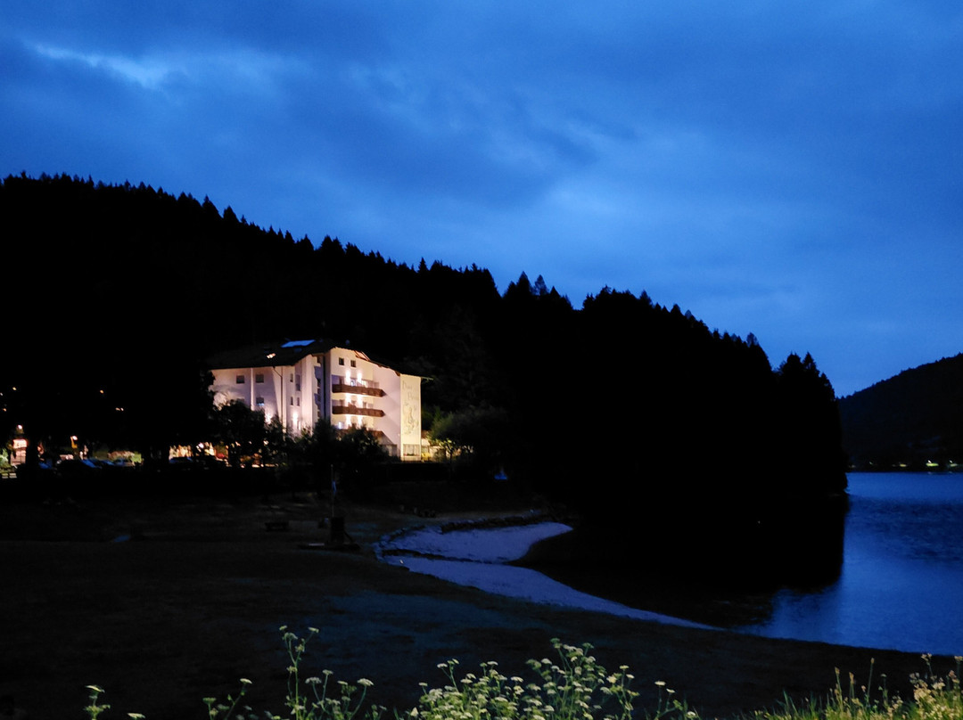 Active Hotel Pineta & Camping主图
