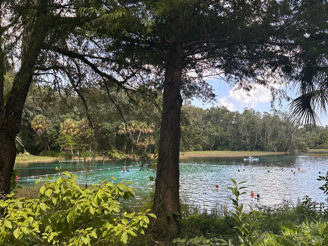 Rainbow Springs State Park-Dunnellon必去景点