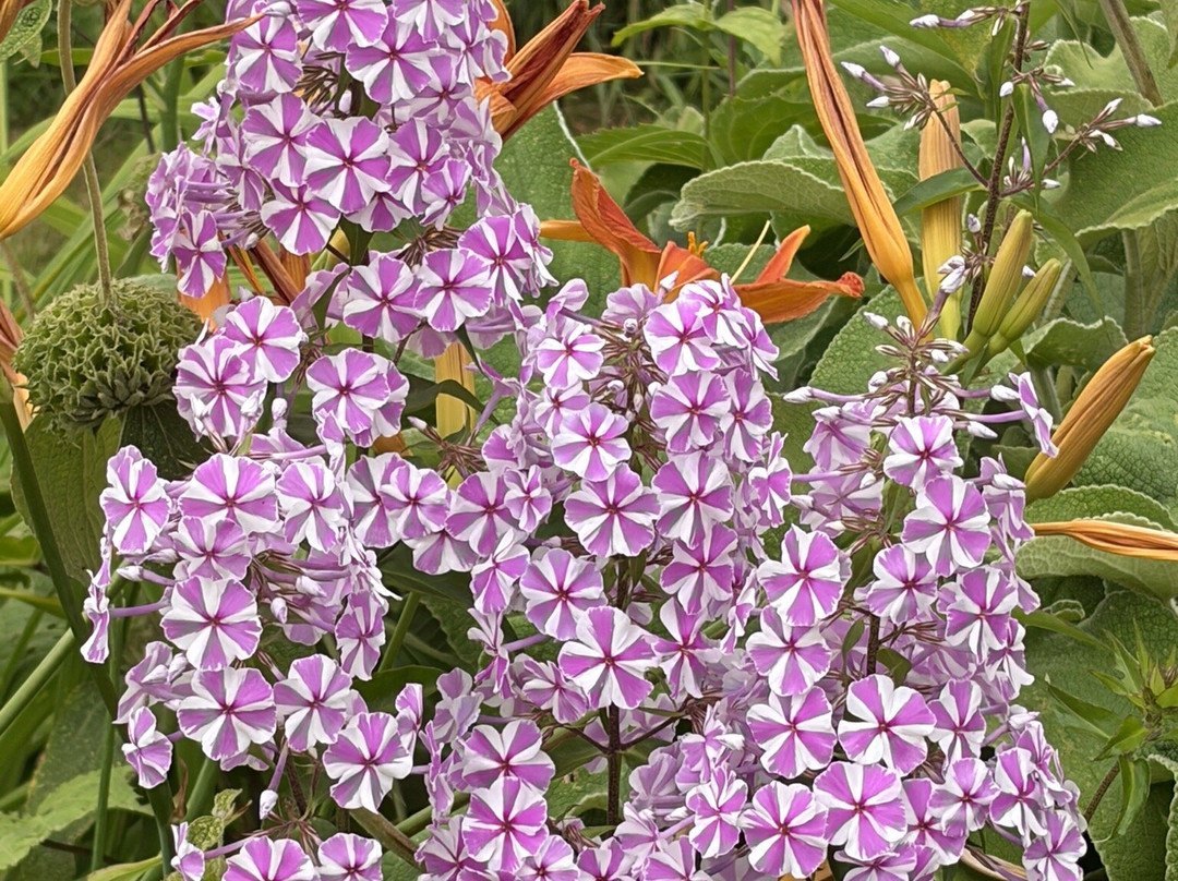 Crarae Garden-因弗雷里必去景点