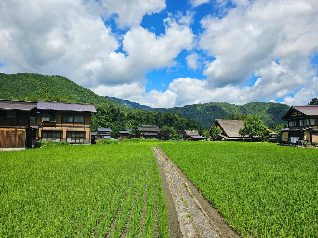 世界遗产白川乡合掌屋-白川村必去景点