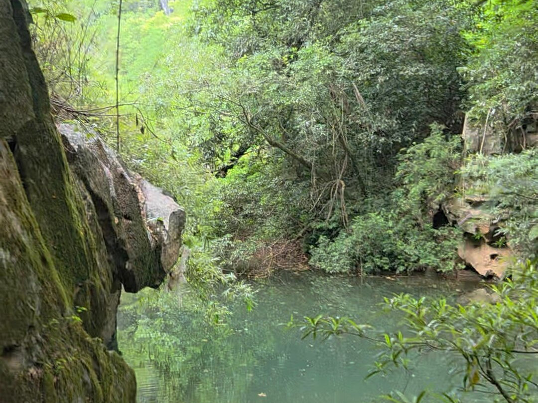 Ruc Mon Adventure Tours-Phong Nha必去景点