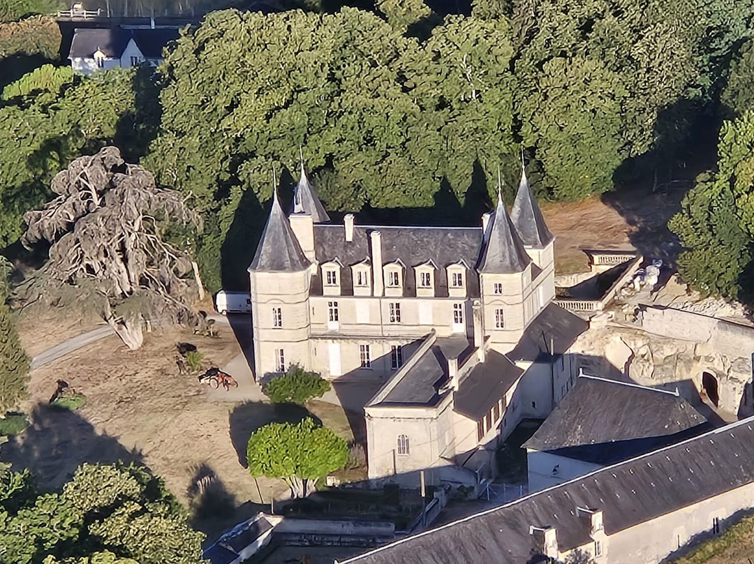 Montgolfière Centre Atlantique-沙泰勒罗必去景点