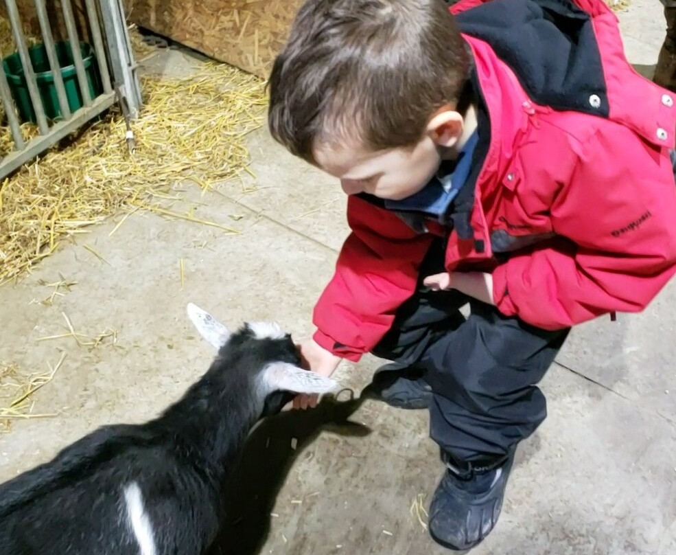 Udderly Ridiculous Farm Life-Blandford-Blenheim必去景点