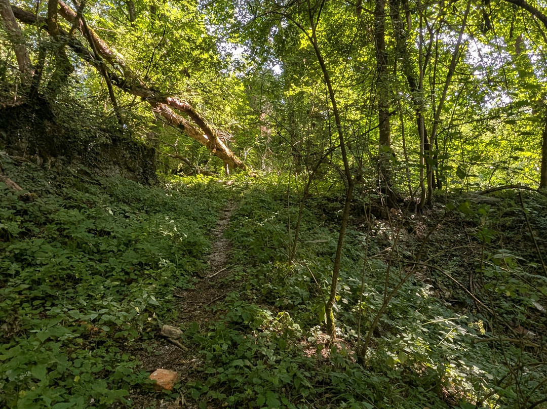 Burgruine Altwartenburg-Timelkam必去景点