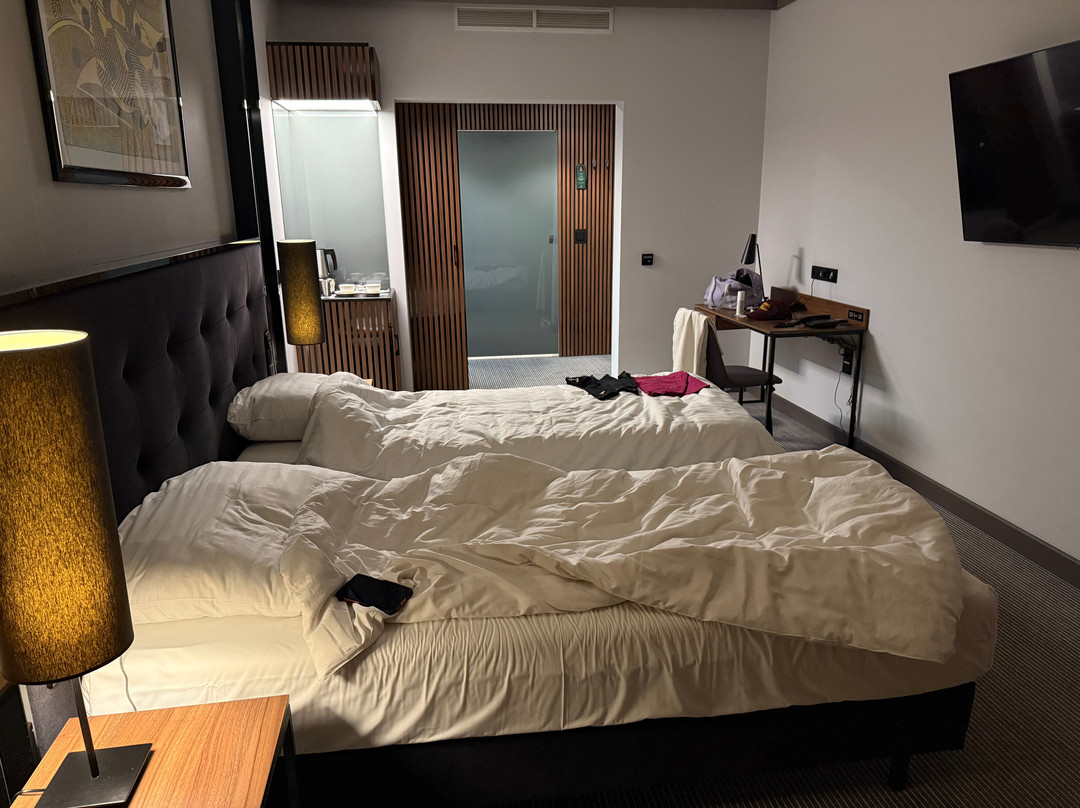 阿斯科特大酒店主图