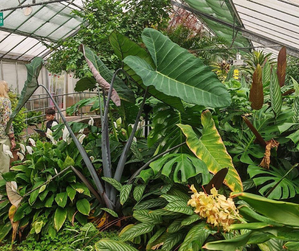 Manor Heath and Jungle Experience-哈里法克斯必去景点