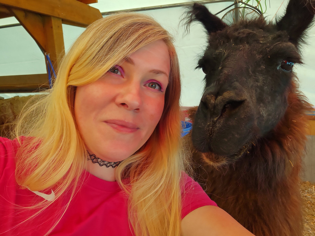 The Llama Sanctuary-Tappen必去景点