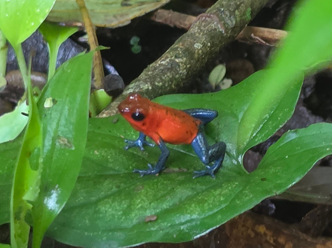 Prime Tours Costa Rica-利比里亚必去景点