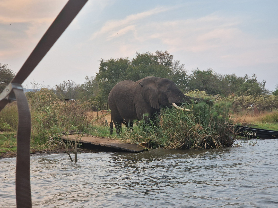 Akagera National Park-Eastern Province必去景点