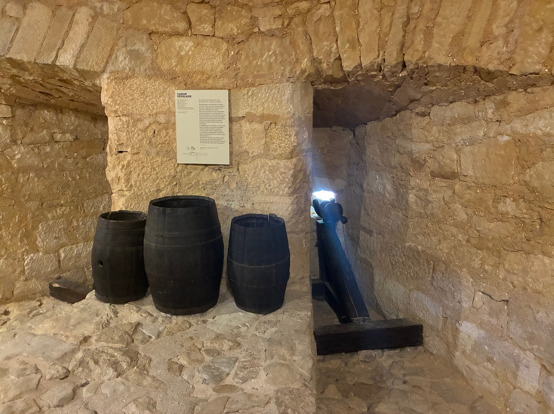 Château de Castelnaud-Castelnaud-la-Chapelle必去景点