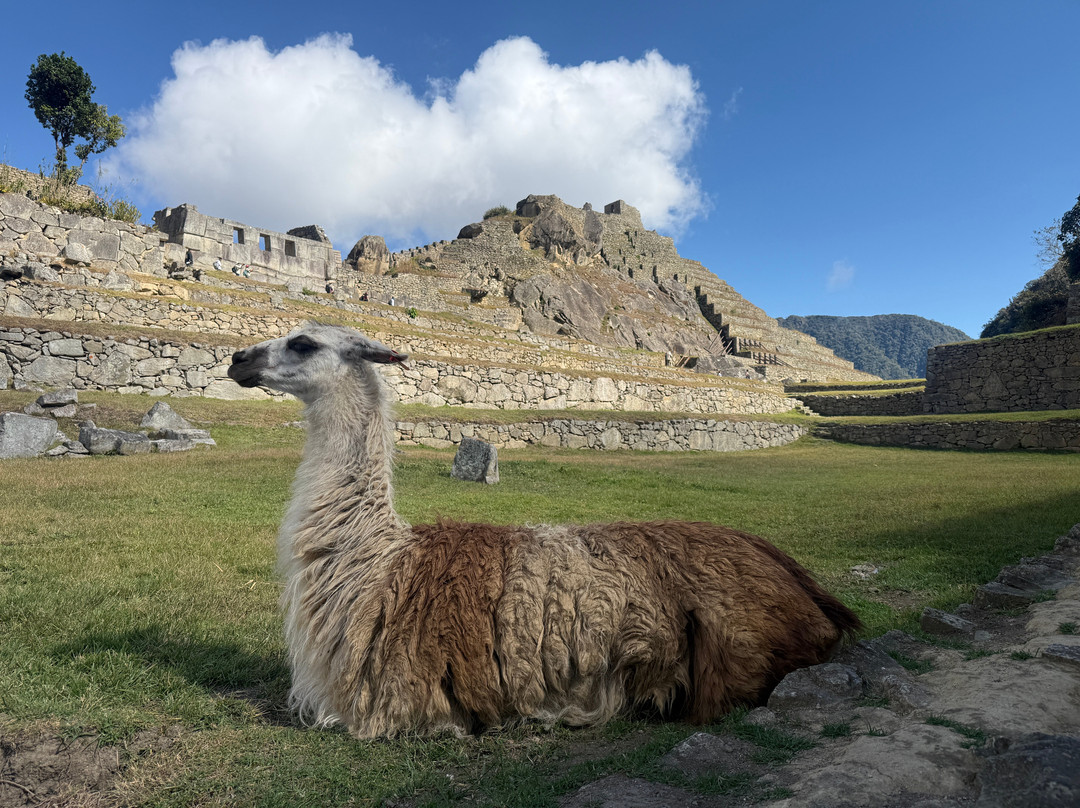 Evolution Treks Peru-库斯科必去景点