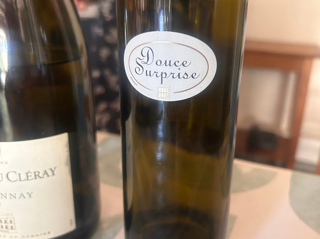 Le Château du Cleray - Sauvion-Vallet必去景点