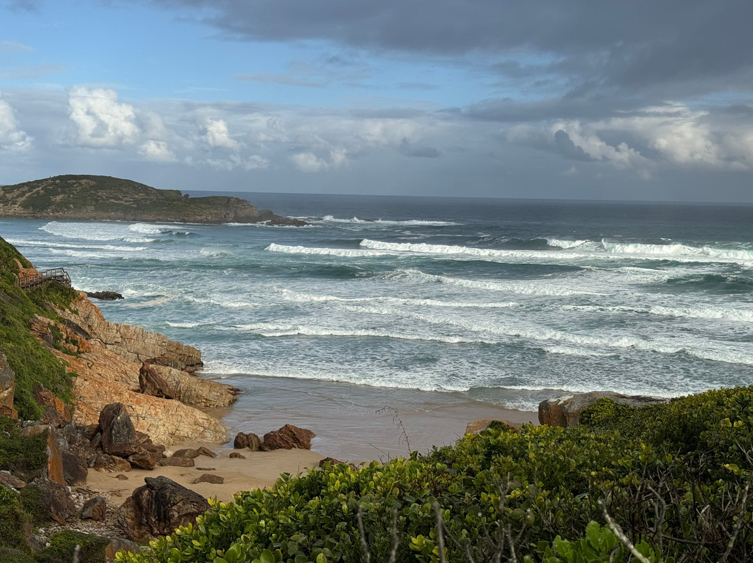 Robberg Nature Reserve-普利登堡湾必去景点