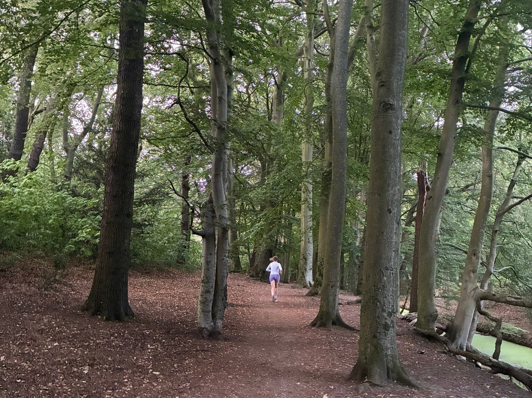 Landgoed Clingendael-海牙必去景点