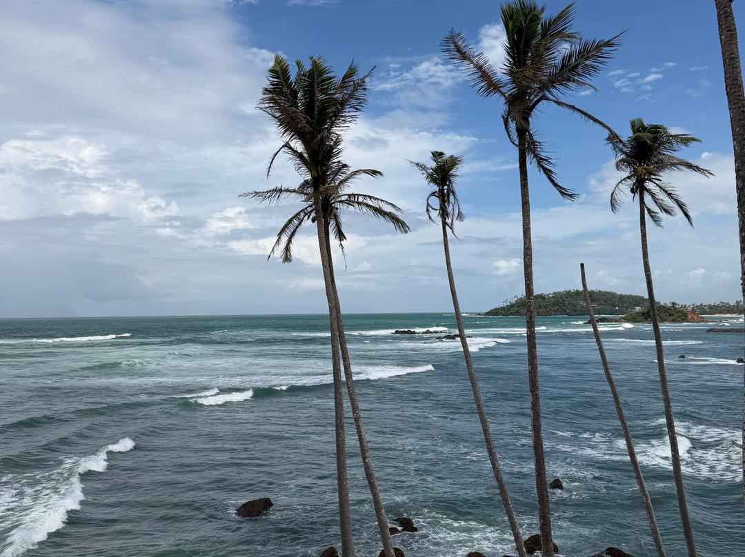 Ceylon Safari Holiday-Ratmalana必去景点