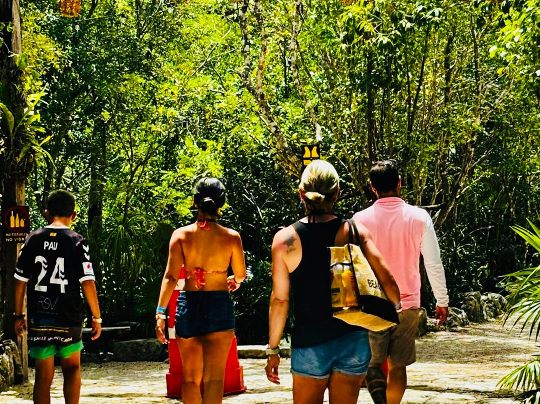 Vive Mayan Tours-普拉亚德尔卡曼必去景点