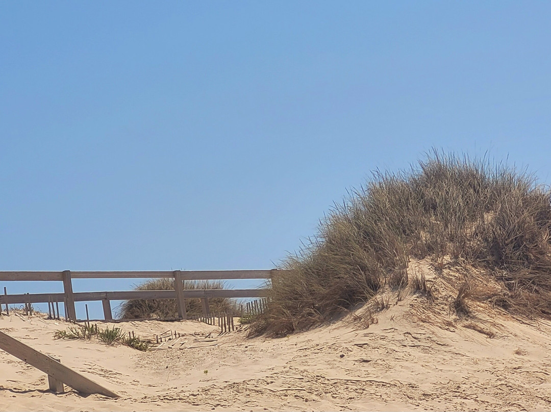 Praia da Vagueira-Vagos必去景点