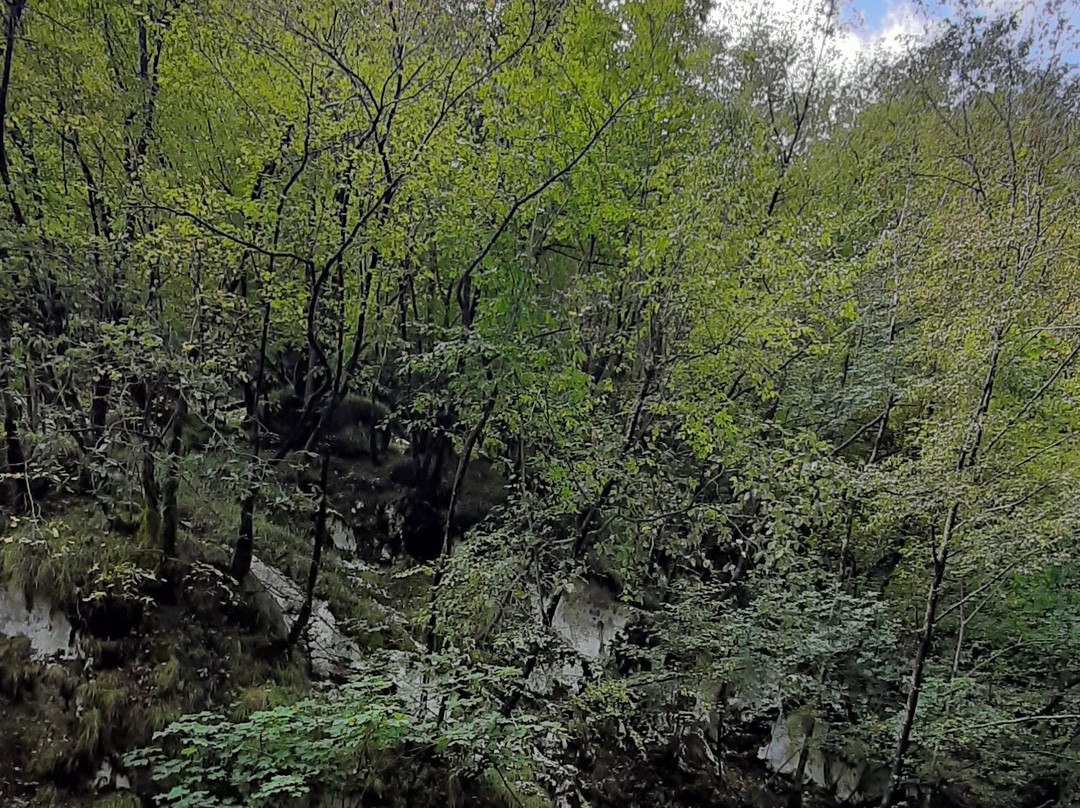 Sentiero del Dint dal Lago di Barcis-Barcis必去景点