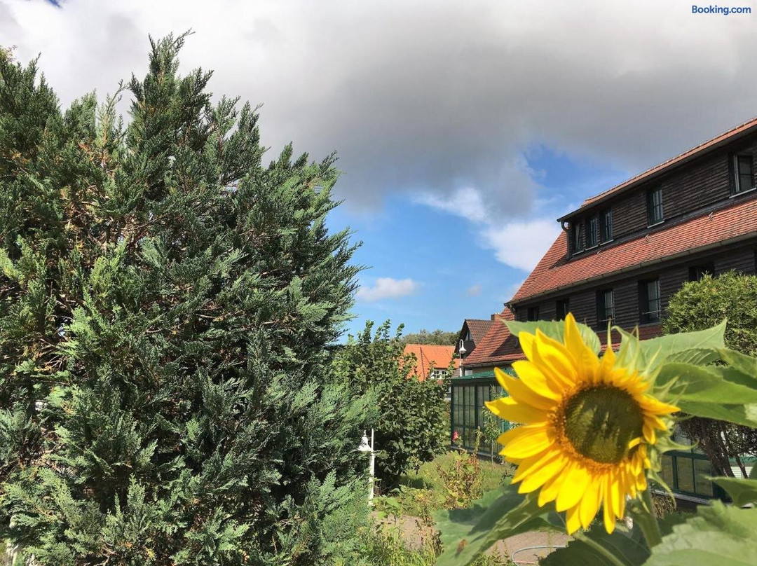 Hotel-Pension Haus Seeadler