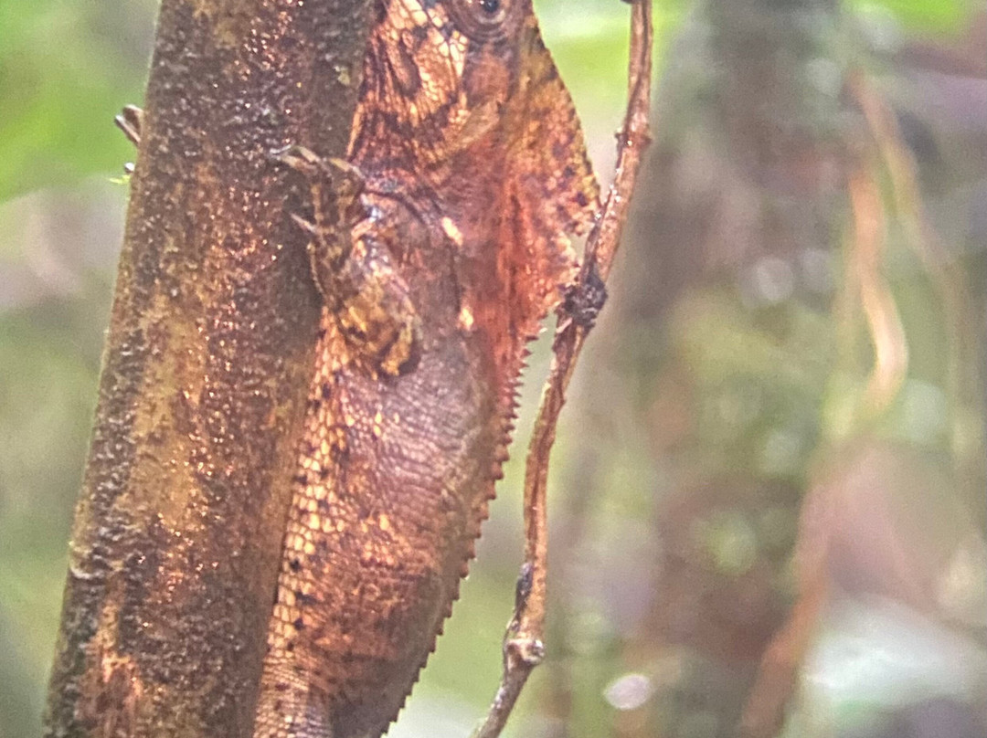Conchal Adventures Costa Rica-孔查沙滩必去景点