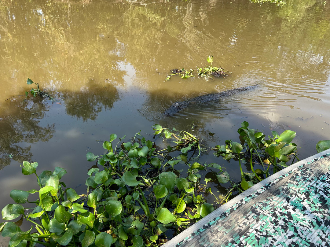 Ragin Cajun Airboat Tours-新奥尔良必去景点
