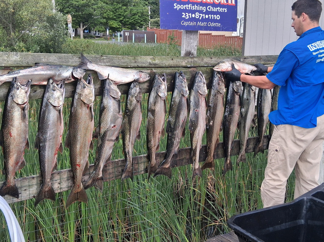 Intimidator Sport Fishing Charters-Frankfort必去景点