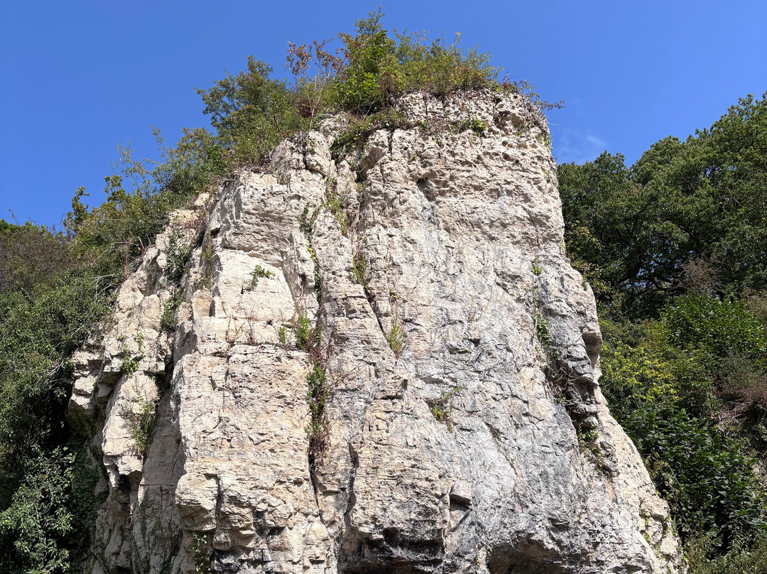 Creswell Crags-沃克索普必去景点