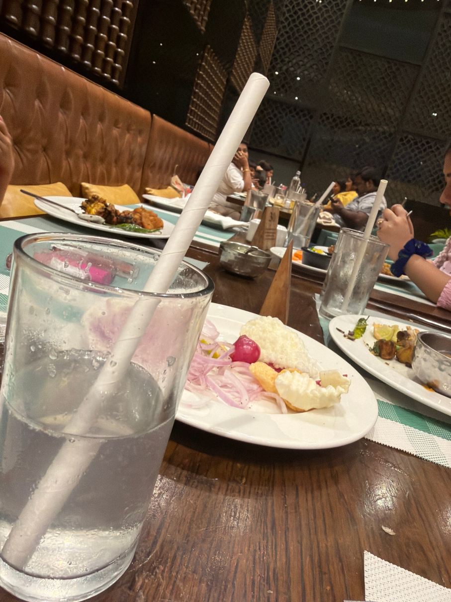 加尔各答机场假日酒店-旅行者