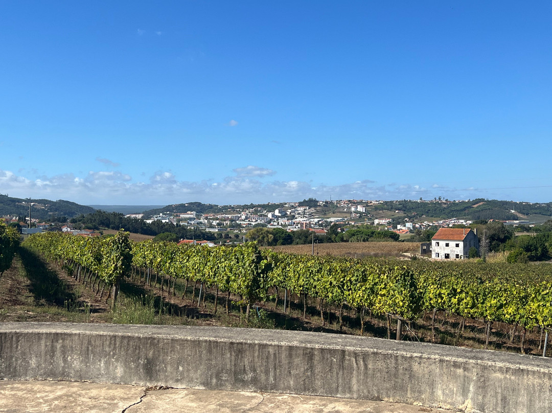 Quinta dos Capuchos-阿尔科巴萨必去景点