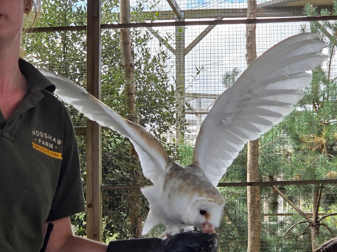 Hogshaw Farm & Wildlife Park-Hogshaw必去景点