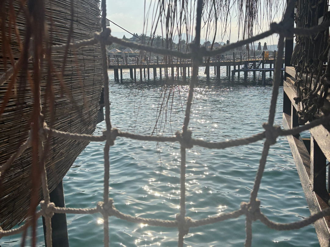 蓝枪鱼豪华温泉度假村 - 全包主图