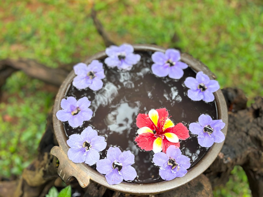 Sarovaram Ayurvedic Backwater Health Centre主图