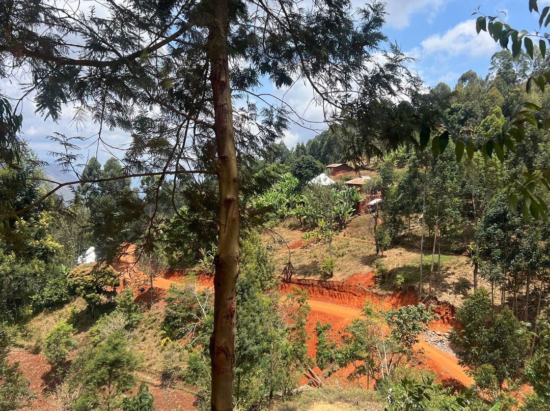 Usambara  Adventures-卢绍托必去景点