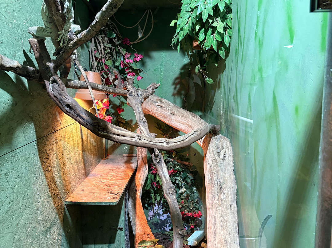 Aquarium Terrarium-克尔克必去景点