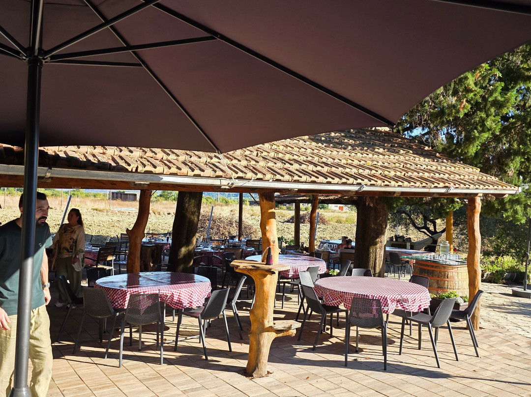Winery Botaro-杜布罗夫尼克必去景点