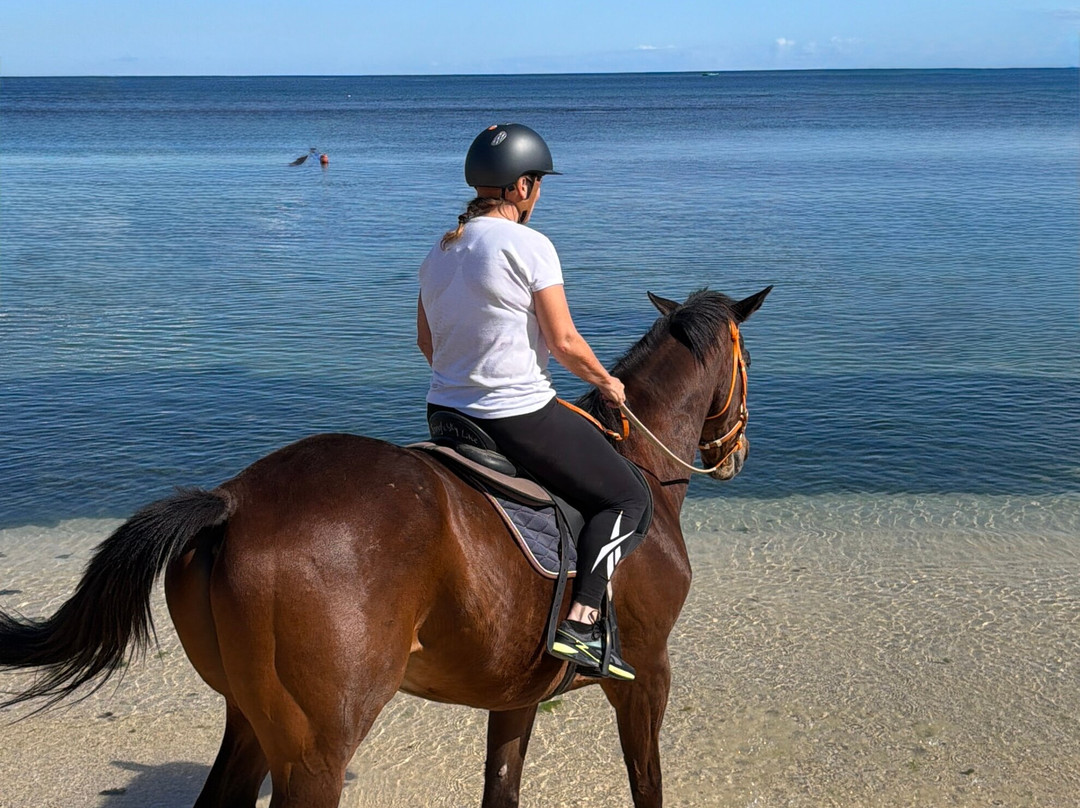 Maritim Equestrian Centre-巴拉克拉瓦必去景点