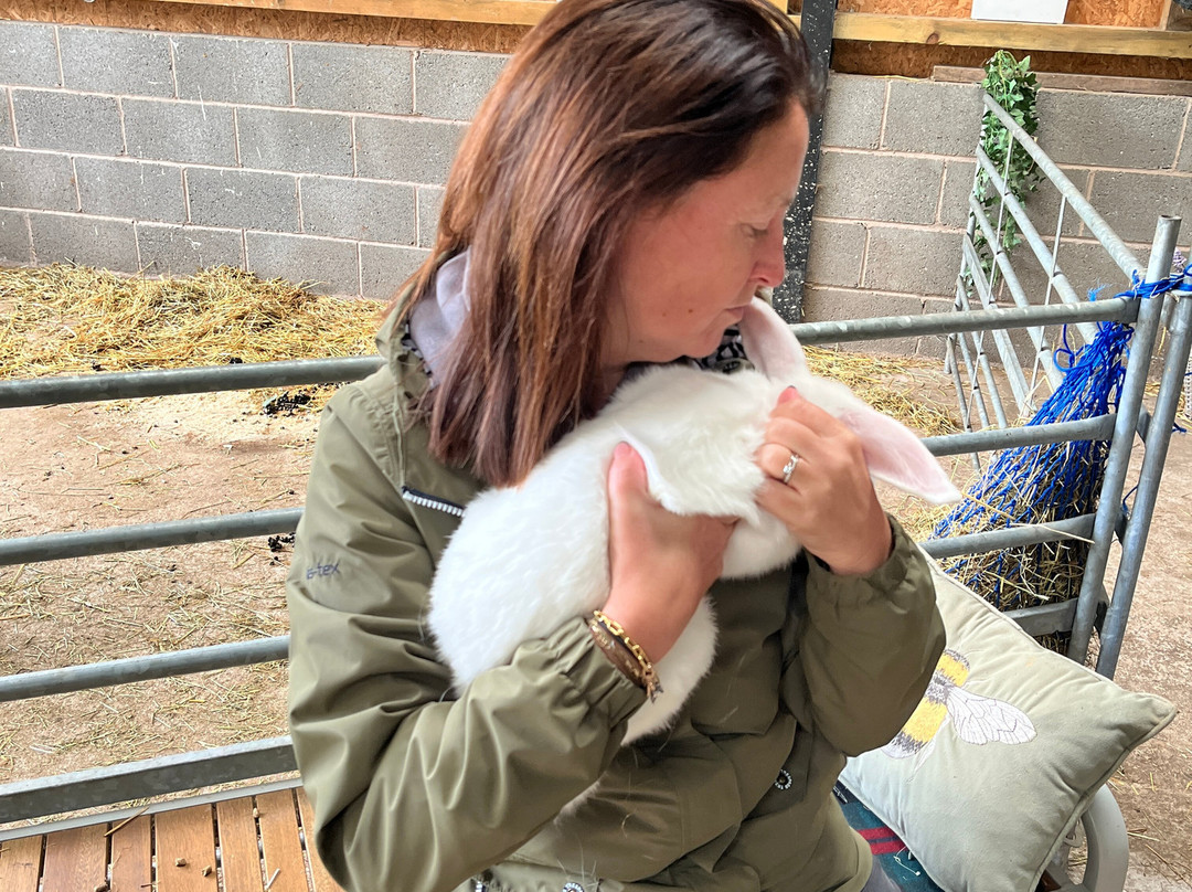 Woodlands Alpaca Farm-沃灵顿必去景点