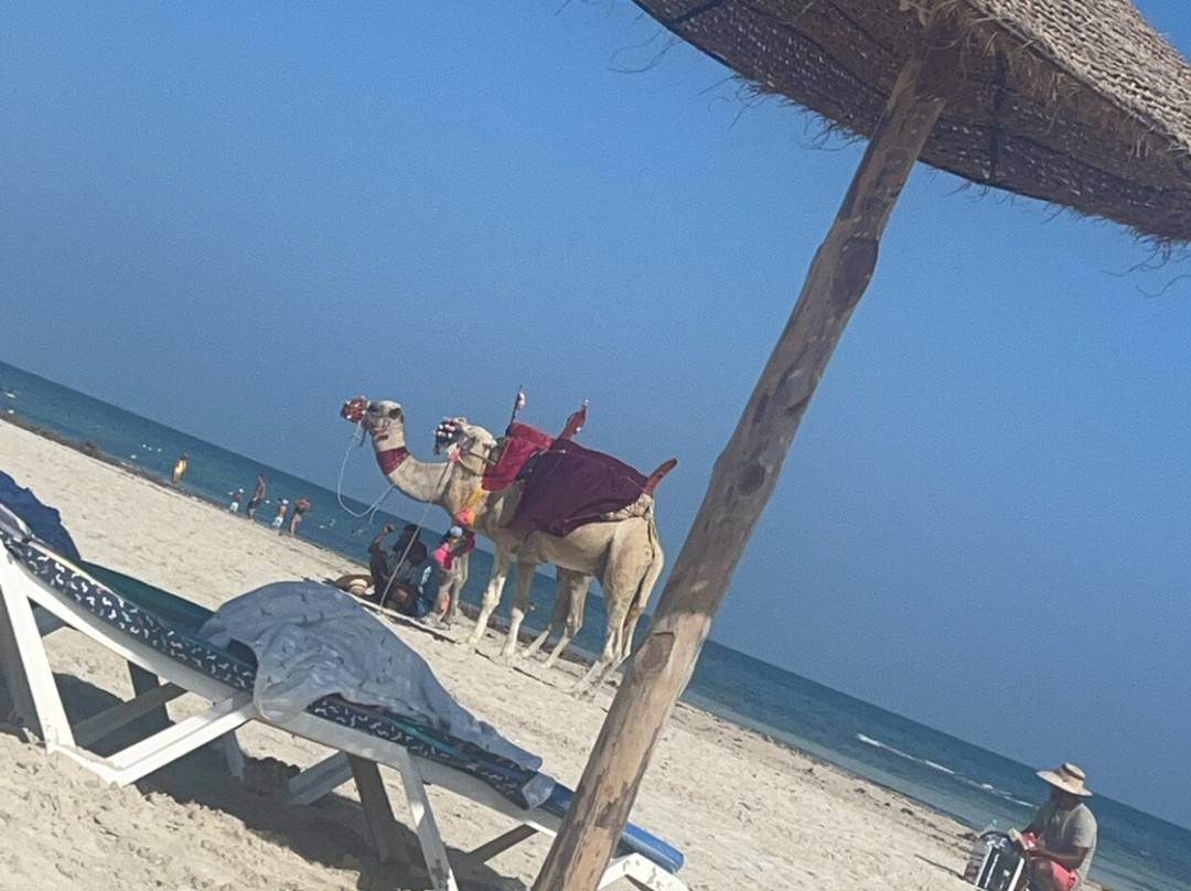 卡利默拉亚提海滩酒店 - 全包式主图